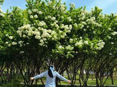 -蠡湖大桥公园