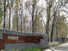 -东郊湿地公园