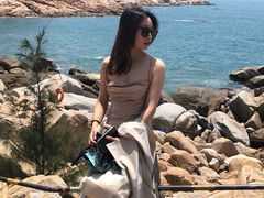 -广东惠东海龟国家级自然保护区