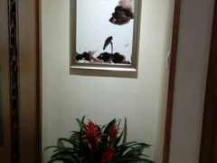 -静 泰养生(黄金城道店)