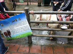 -贵州森林野生动物园