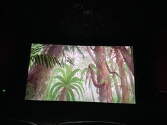 -武汉华夏国际影城(鲁广店)