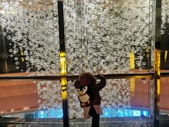 -海航大厦万豪酒店彩海轩中餐厅(霄云路店)