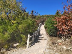 -鬼笑石后山停车场