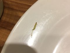 -新澳港式茶餐厅(余姚路店)