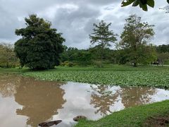 -中国科学院西双版纳热带植物园