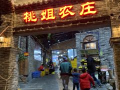 门面-桃姐农庄老字号(从化温泉店)