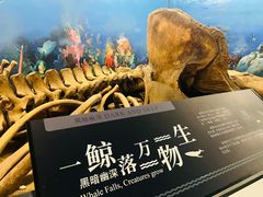 -大连自然博物馆