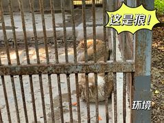 -福州动物园