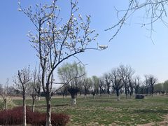 -汉长安城未央宫国家考古遗址公园