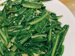 蒜蓉油麦菜-微山湖地锅城(天津总店)