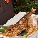 龙华烧肉新店！好吃不贵氛围敲chill ~