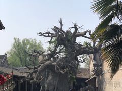-康百万庄园