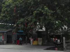 -国恩寺
