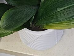 -张钰强中医正骨推拿连锁(华发商都店)