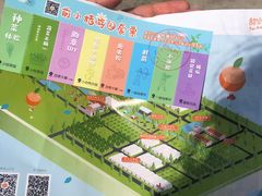 -前小桔亲子创意农场·草莓采摘·露营烧烤