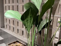 -喜马拉雅森(运河汇1958店)