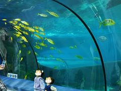-福州罗源湾海洋世界旅游区