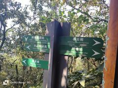 -杭州半山国家森林公园