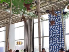 -宜家·瑞典风味餐厅(无锡店)
