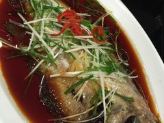 -高第街56号餐厅(邹城新一中店)