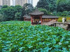 -龙头寺公园