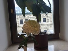 红菜汤-Stolovaya 57