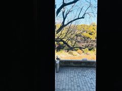 -东京国立博物馆