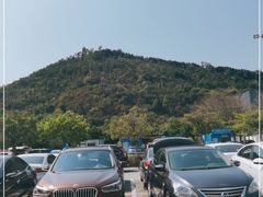 -顺峰山公园