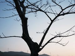 -白石龙音乐公园