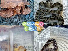 -海南热带野生动植物园