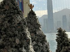-海港城
