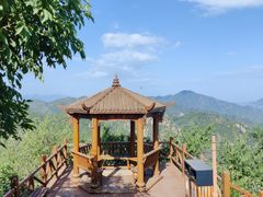 -大岭沟猕猴桃谷风景区