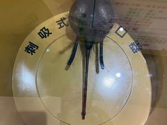 -上海昆虫博物馆