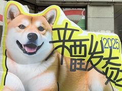 -开元商城(西旺店)