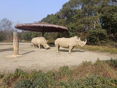 -宁波野生动物园