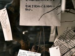 -橡皮书店(翠湖北路店)