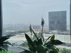 -徐家鸭子·非遗烤鸭(汇景店)