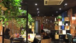 点击看大图 -藤野造型