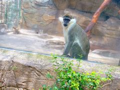 -泉州海丝野生动物世界