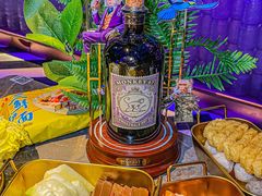 -Darling Queen·Mini·Live·House