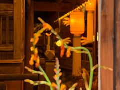 -叶叶菩提·晋福宫