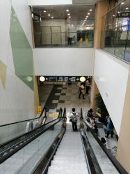 -上海交通大学医学院附属上海儿童医学中心(陆家嘴总院区)