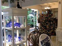 -Fern Forest Cafe