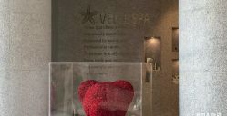 -VELEE·SPA高定疗愈会所