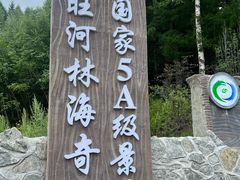 -汤旺河林海奇石景区