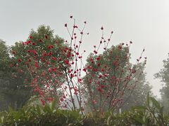 -余姚阳明温泉山庄