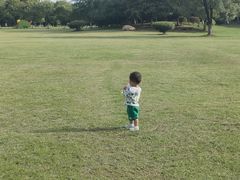 -艾溪湖湿地公园