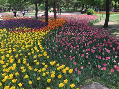 -长春公园(普阳街道)