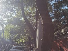 -北京国子监胡同